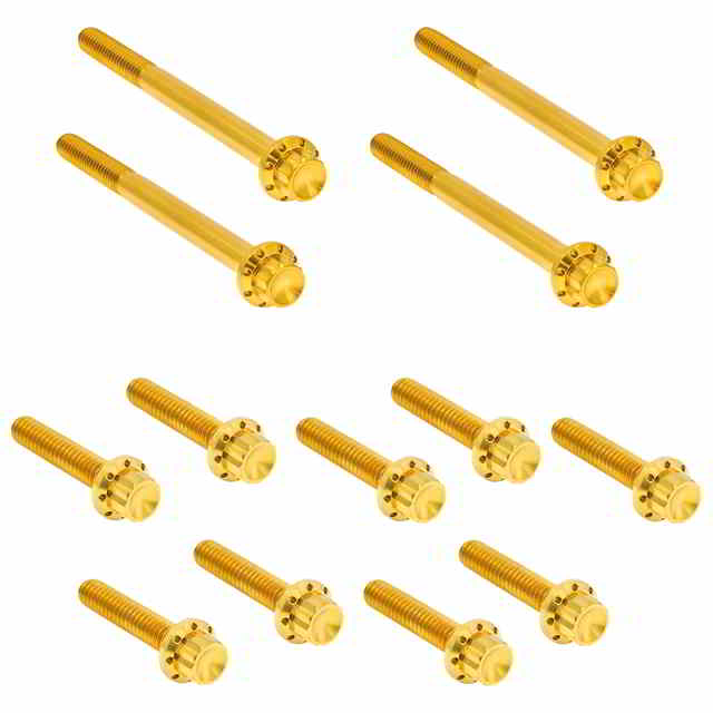 【並行輸入品】 アレンネス アウタープライマリーカバー チタン製 12ポイントボルトキット 300-928 24011730