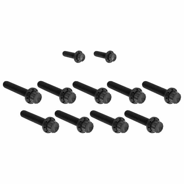 【並行輸入品】 アレンネス カムカバー/ポイントカバー チタン製 12ポイントボルトキット 300-933 24011735