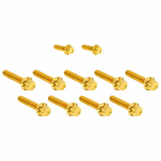 【並行輸入品】 アレンネス カムカバー/ポイントカバー チタン製 12ポイントボルトキット 300-934 24011736
