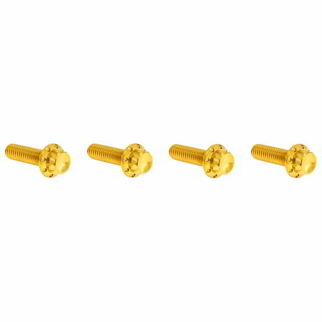 【並行輸入品】 アレンネス トランスミッション上部カバー チタン製 12ポイントボルトキット 300-979 24011757