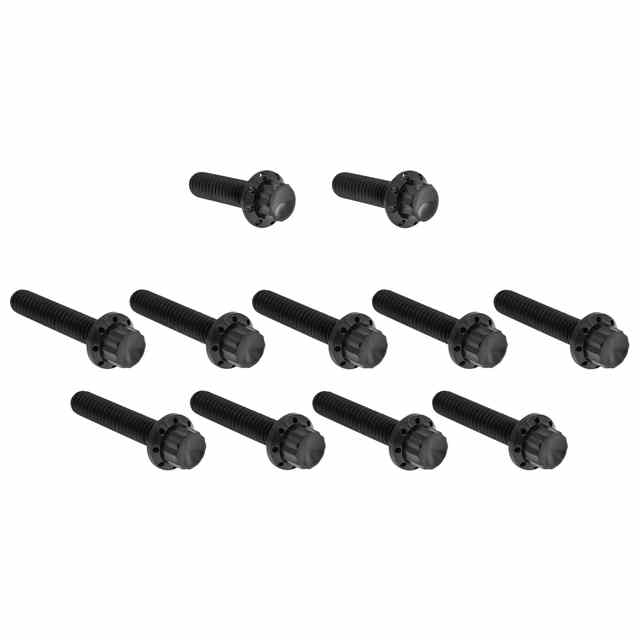 【並行輸入品】 アレンネス カムカバー/ポイントカバー チタン製 12ポイントボルトキット 300-981 24011759