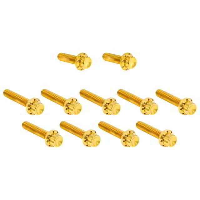 【並行輸入品】 アレンネス カムカバー/ポイントカバー チタン製 12ポイントボルトキット 300-982 24011760