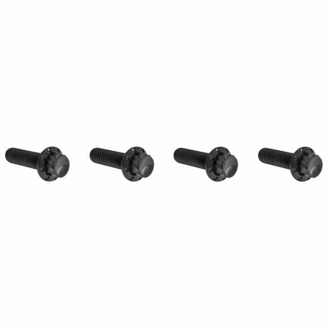 【並行輸入品】 アレンネス トランスミッション上部カバー チタン製 12ポイントボルトキット 300-978 24011773