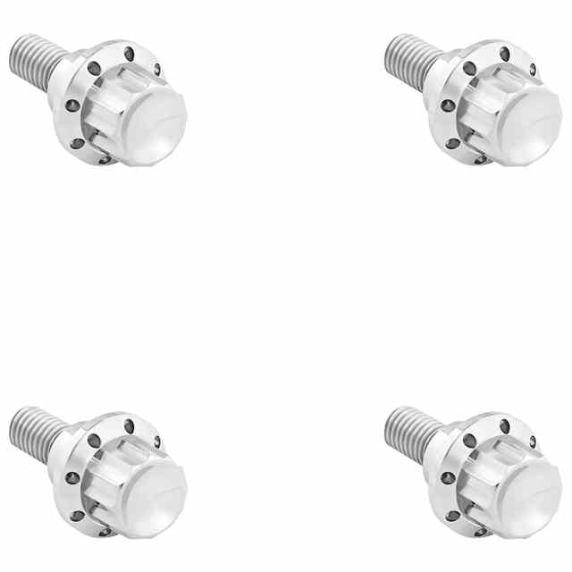 【並行輸入品】 アレンネス フロントガラス用チタン製12点ボルトキット 300-809 24011781