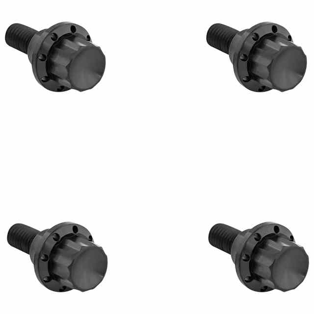 【並行輸入品】 アレンネス フロントガラス用チタン製12点ボルトキット 300-810 24011782