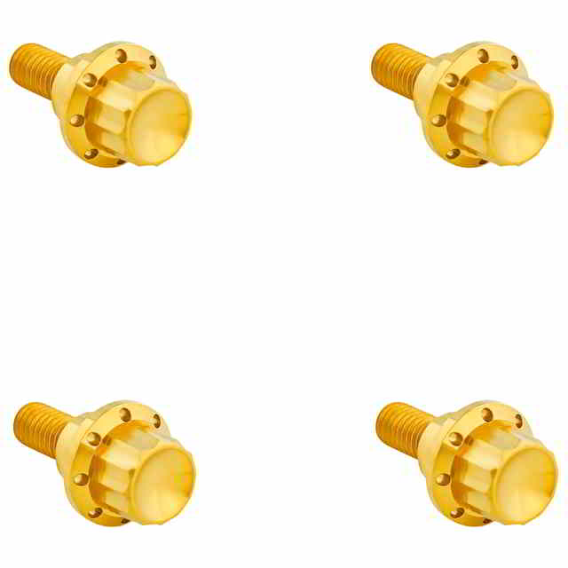 【並行輸入品】 アレンネス フロントガラス用チタン製12点ボルトキット 300-811 24011783