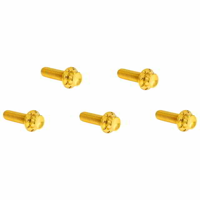 【並行輸入品】 アレンネス ダービーカバー チタン製 12ポイントボルトキット 300-925 24011792