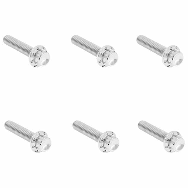 【並行輸入品】 アレンネス トランスミッションサイドカバー チタン製 12ポイントボルトキット 300-700 24011808