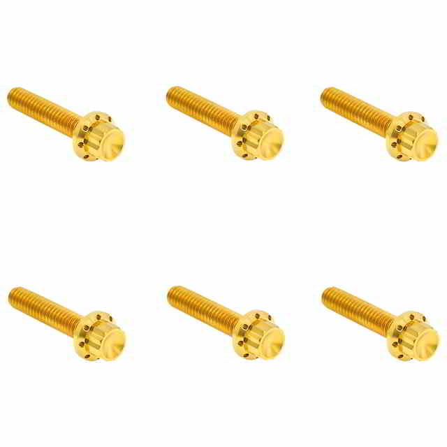 【並行輸入品】 アレンネス トランスミッションサイドカバー チタン製 12ポイントボルトキット 300-702 24011810