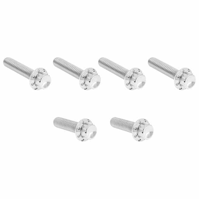 【並行輸入品】 アレンネス トランスミッションサイドカバー チタン製 12ポイントボルトキット 300-703 24011811
