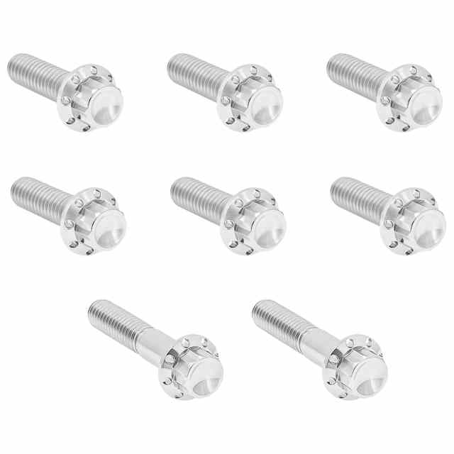 【並行輸入品】 アレンネス トランスミッショントラップドア用チタン製12ポイントボルトキット - 6速トランスミッション用 300-712 24011821