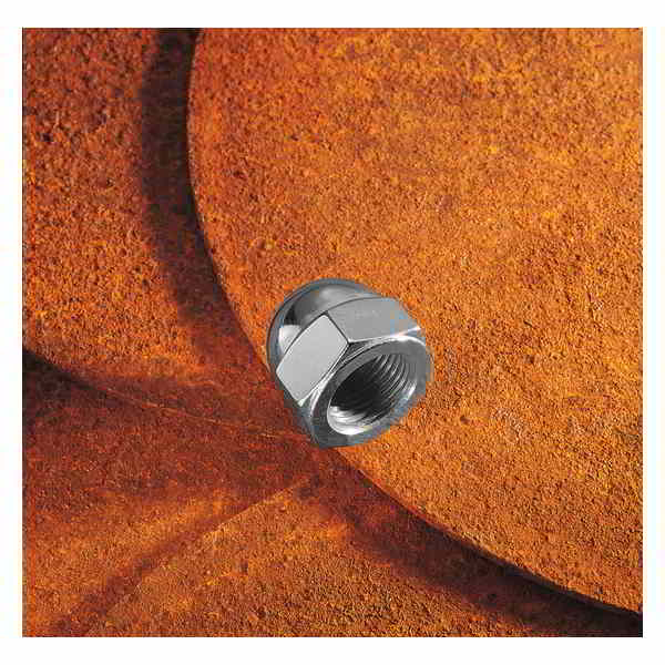 取寄せ ドングリフロントベルトドライブプーリーナット コロニー Acorn Front Belt Drive Pulley Nut 7816-1 DS193813