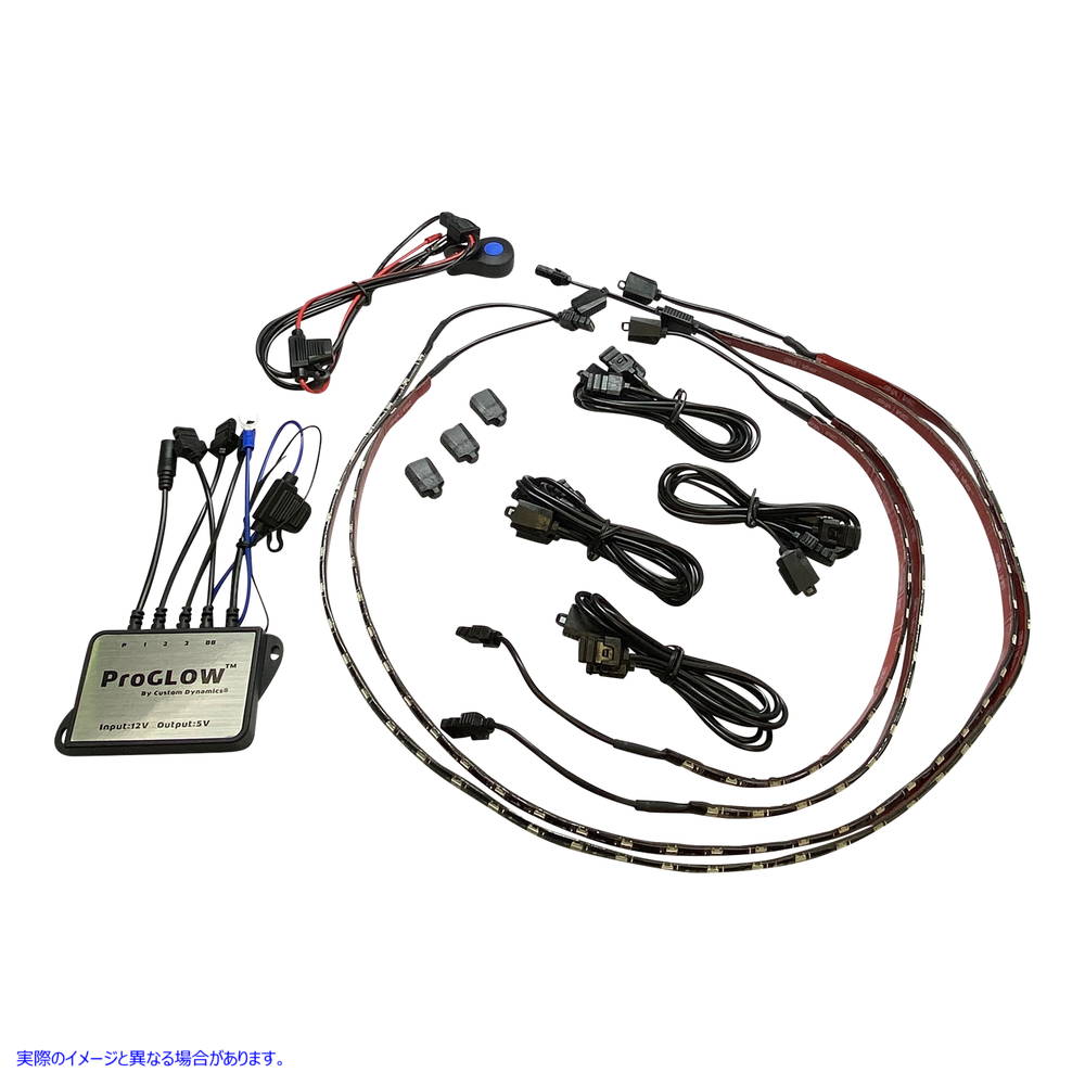 取寄せ Proglow?カラー変更LEDゴルフカートキット カスタムダイナミクス LED Light Kit for Golf Cart PG-GC1-KIT 20402992