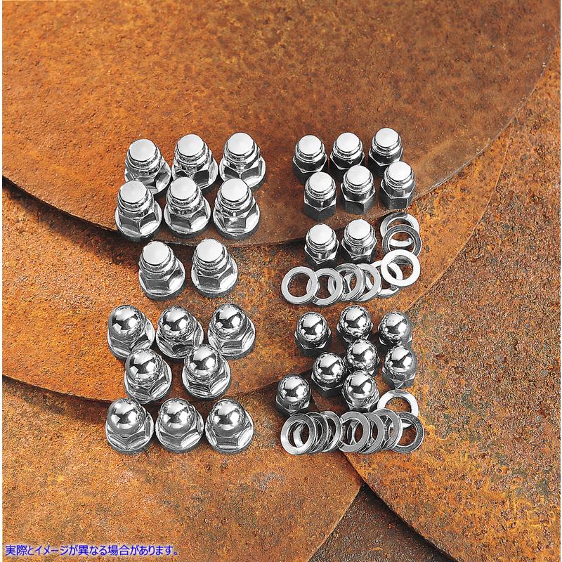取寄せ ドングリハードウェアキット ドラッグスペシャリティーズ Head Bolt Set - Acorn DS-190115 DS190115