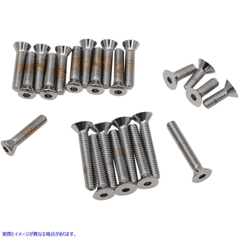 取寄せ カバーボルトセット ドラッグスペシャリティーズ Cover Bolts - Socket-Head - Side - FL DS-190756 DS190756