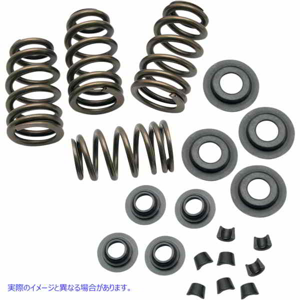 取寄せ SideWinderR.650 バルブスプリングキット エスアンドエス サイクル Spring Kit - .650 900-0050 09262056