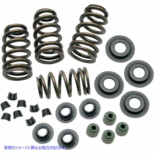 取寄せ SideWinderR.650 バルブスプリングキット エスアンドエス サイクル Valve Springs - .650 - Twin Cam 106-5909 09262069